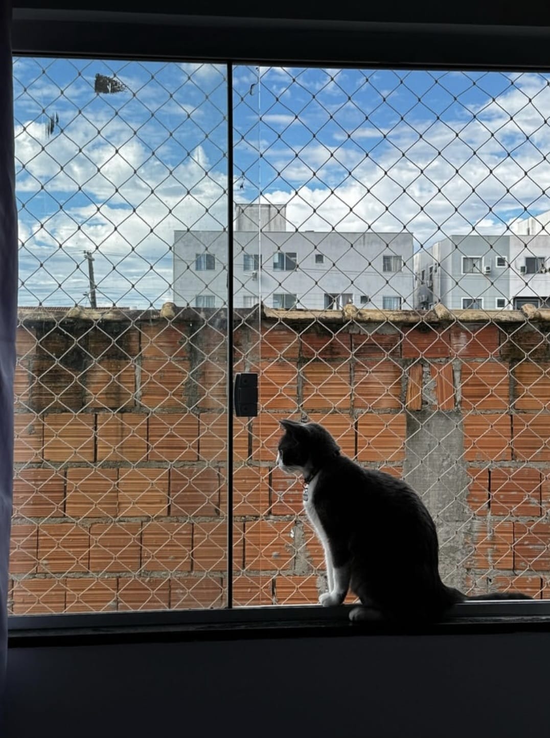 Serviço 2