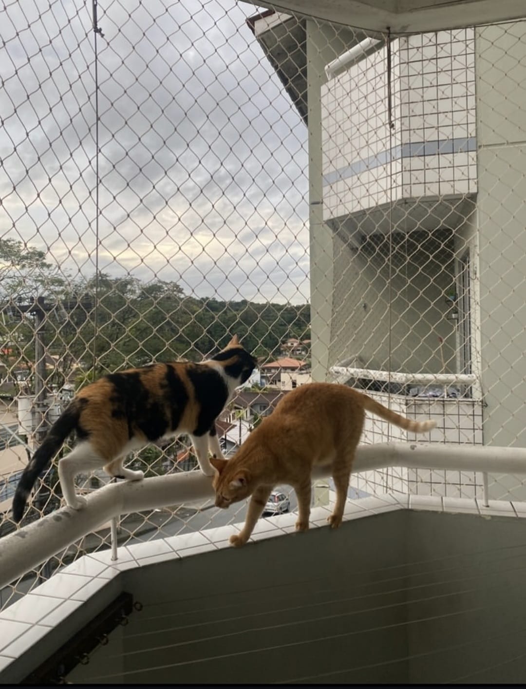 Serviço 3